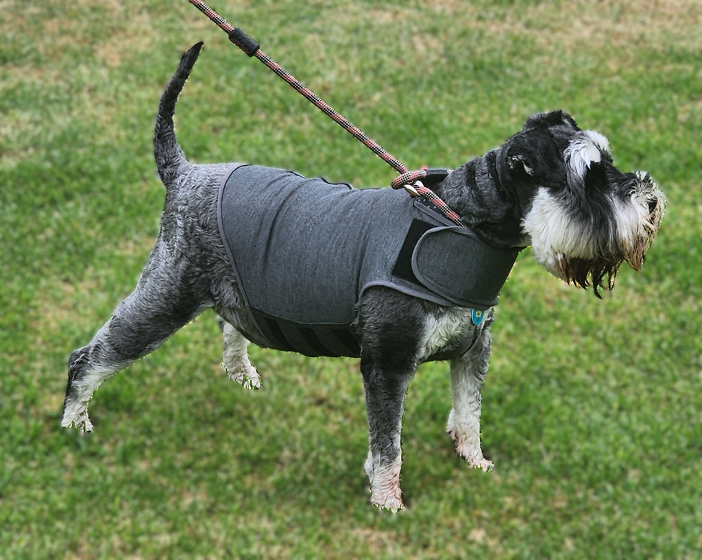 Still Paws™ Calming Wrap For Dogs