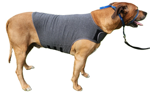 Still Paws™ Calming Wrap For Dogs