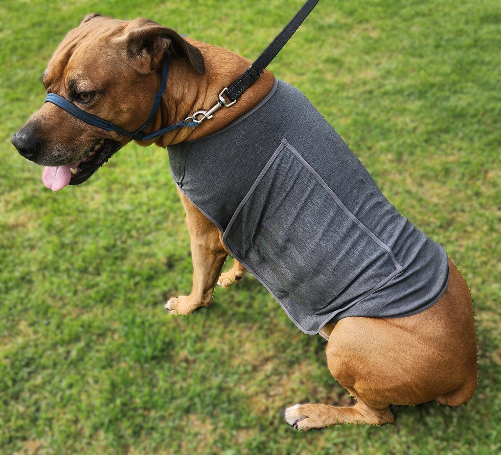 Still Paws™ Calming Wrap For Dogs